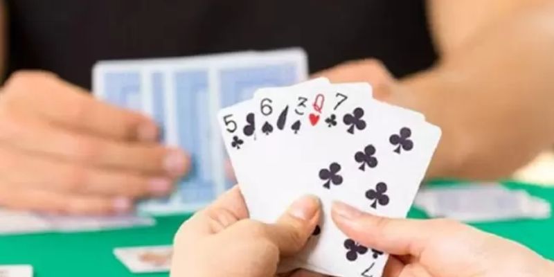 Chơi bài phỏm